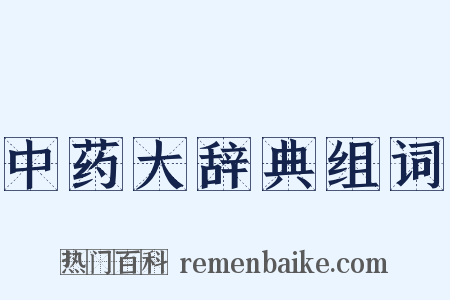 中药大辞典组词是什么意思的图片